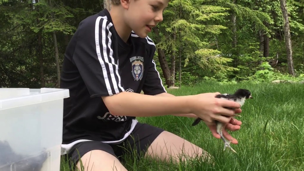 Teresa Wiedrick homeschool life coach — how to start homeschooling confidently in year 1