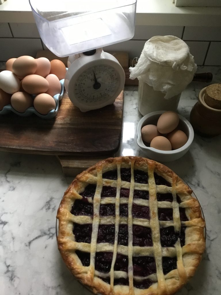 homestead in 2020: blueberry pie