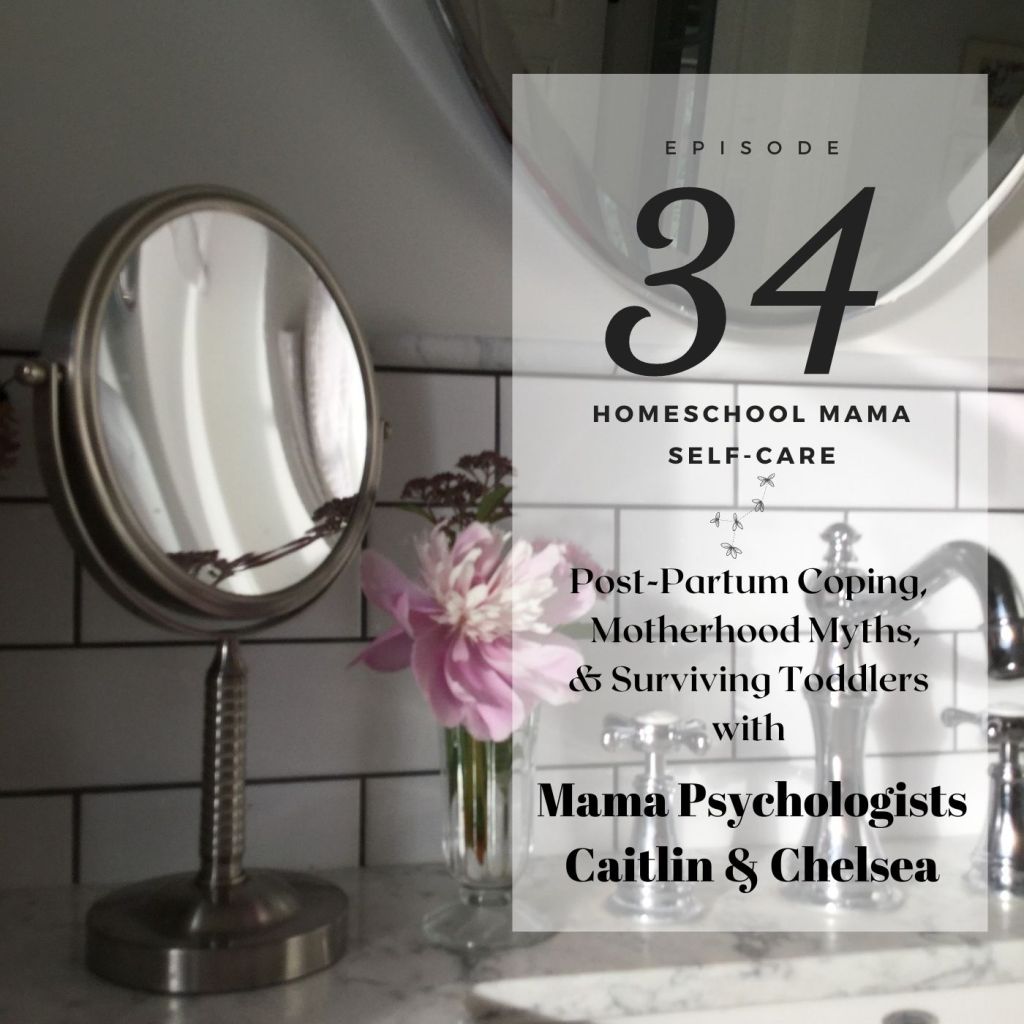 chelsea & caitlin
mamapsychologists
podcast interview
homeschool mama self-care