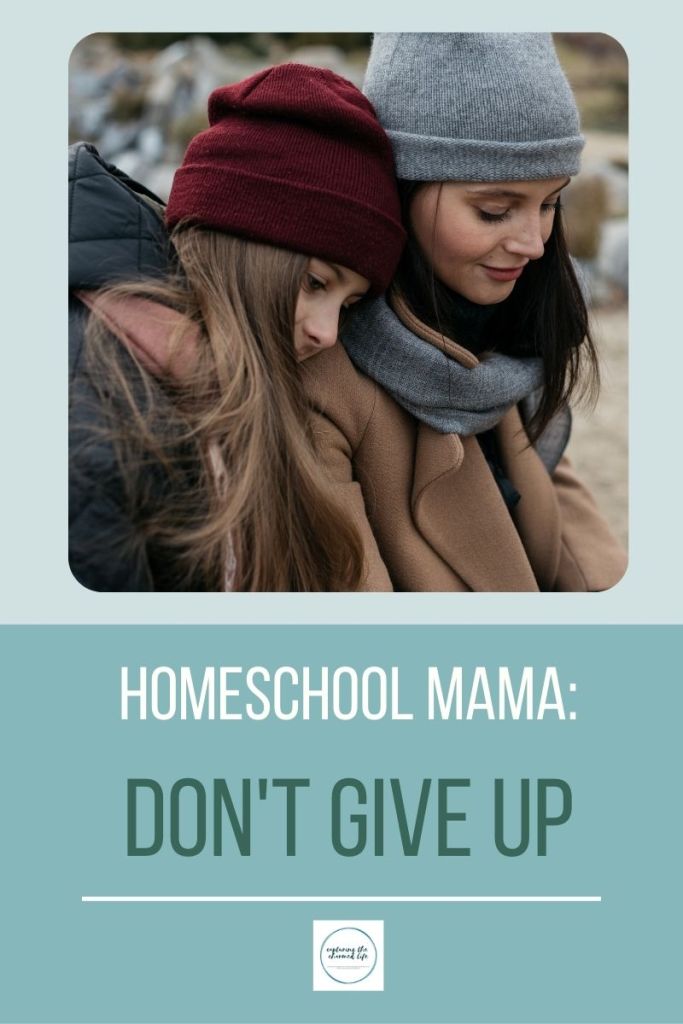 homeschool mama don't give up