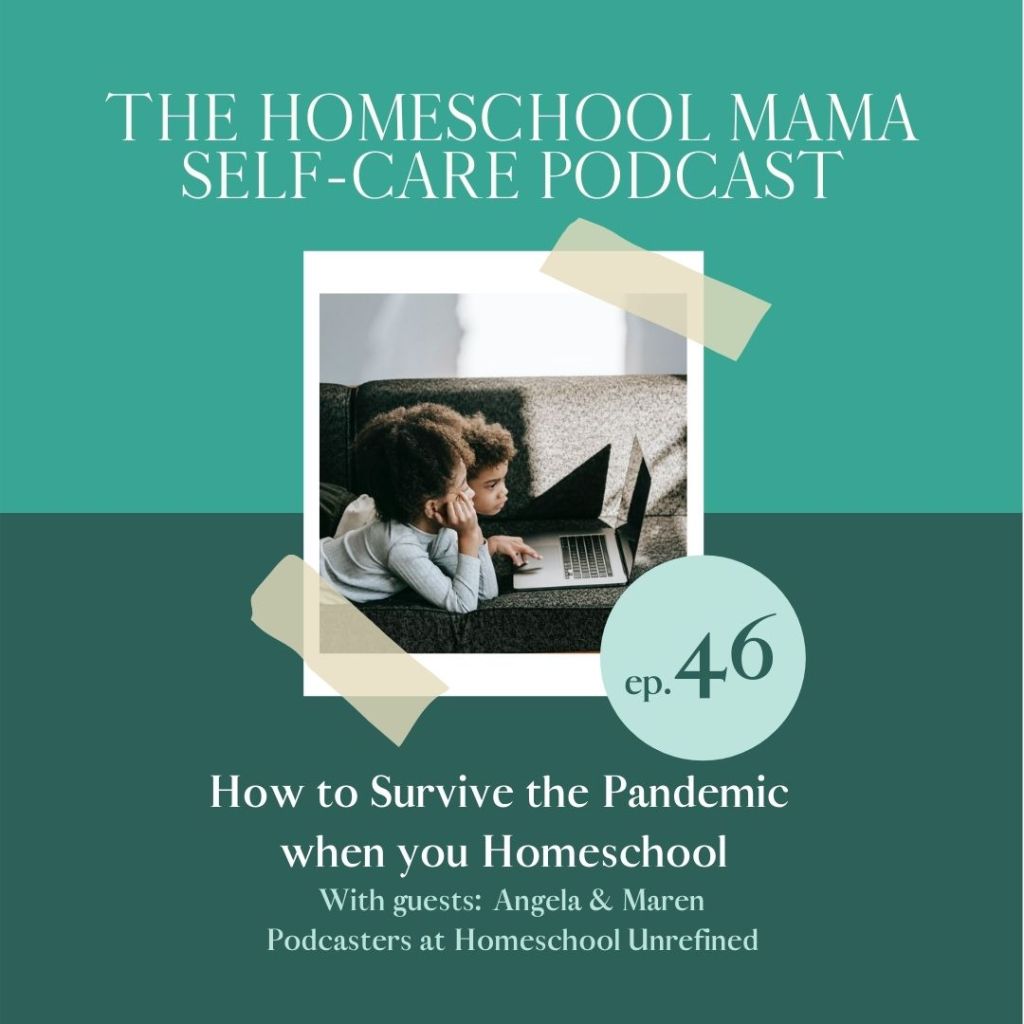 How to Survive the Pandemic when you Homeschool