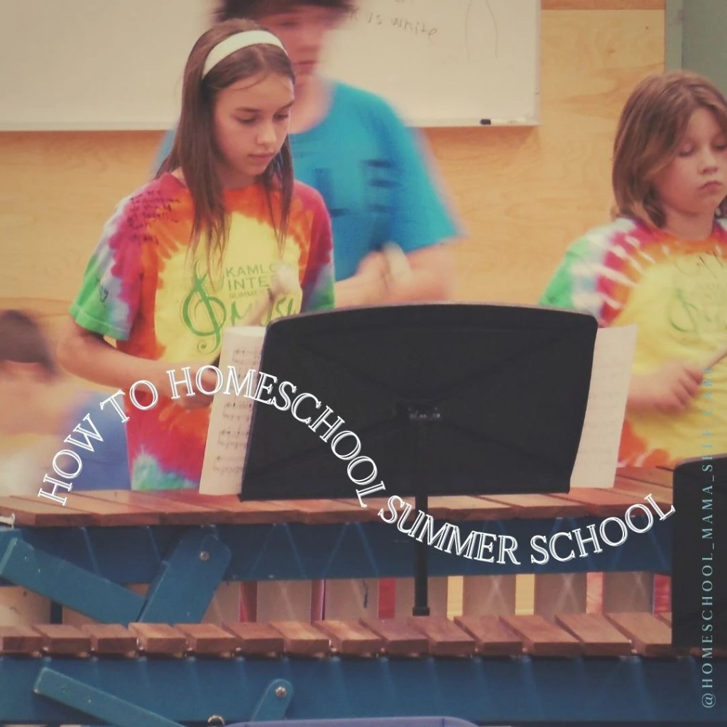 homeschool summer music school