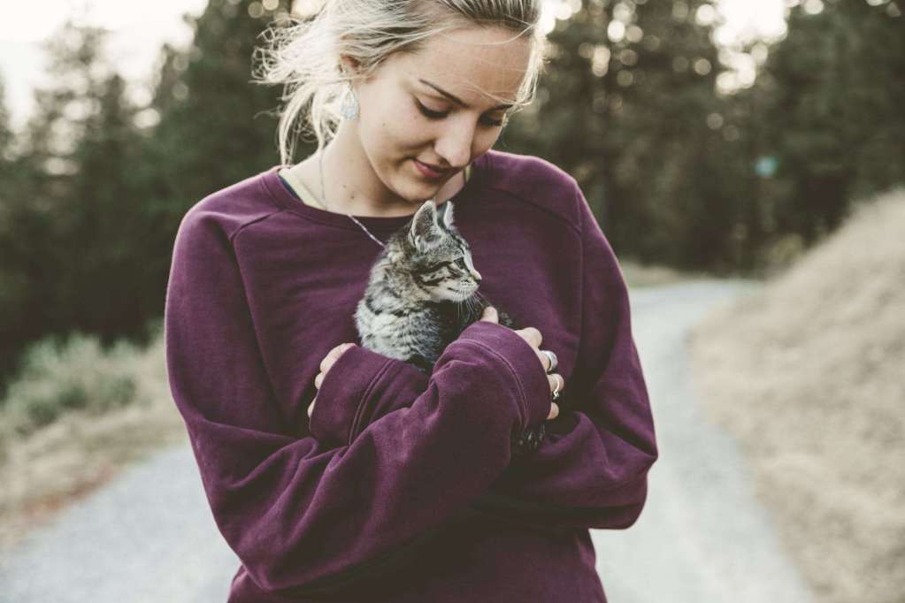selective focus photography of woman wearing purple sweater holding silver tabby cat: homeschool help for moms