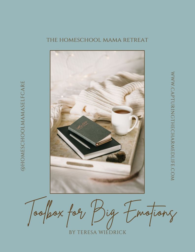 Toolbox for Homeschool Mama's Big Emotions...a self-coaching workbook for homeschool mama's resources