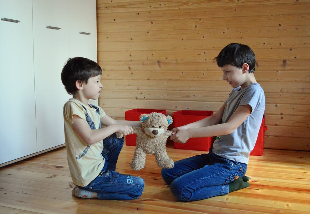 two kids fighting over a teddy bear
