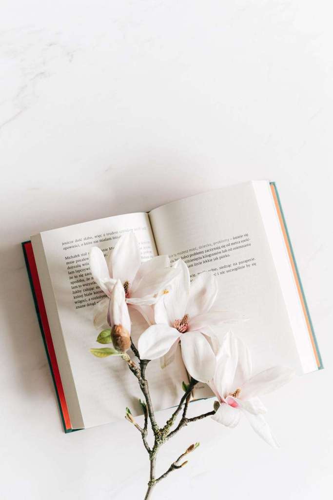 Homeschool Mama Daily Affirmations