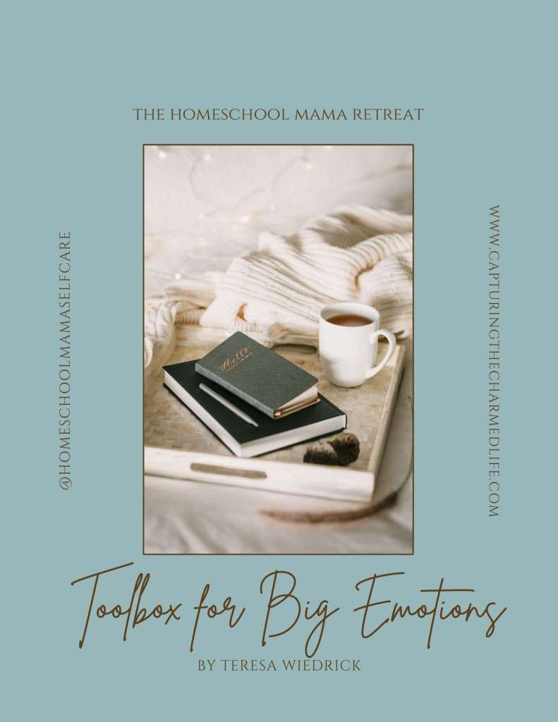 The Toolbox for Big Emotions Journaling Workbook, a homeschool mama resource