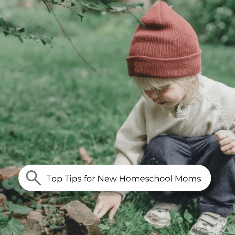 Top Tips for New Homeschool Moms in Season #3 of the Homeschool Mama Self-Care podcast