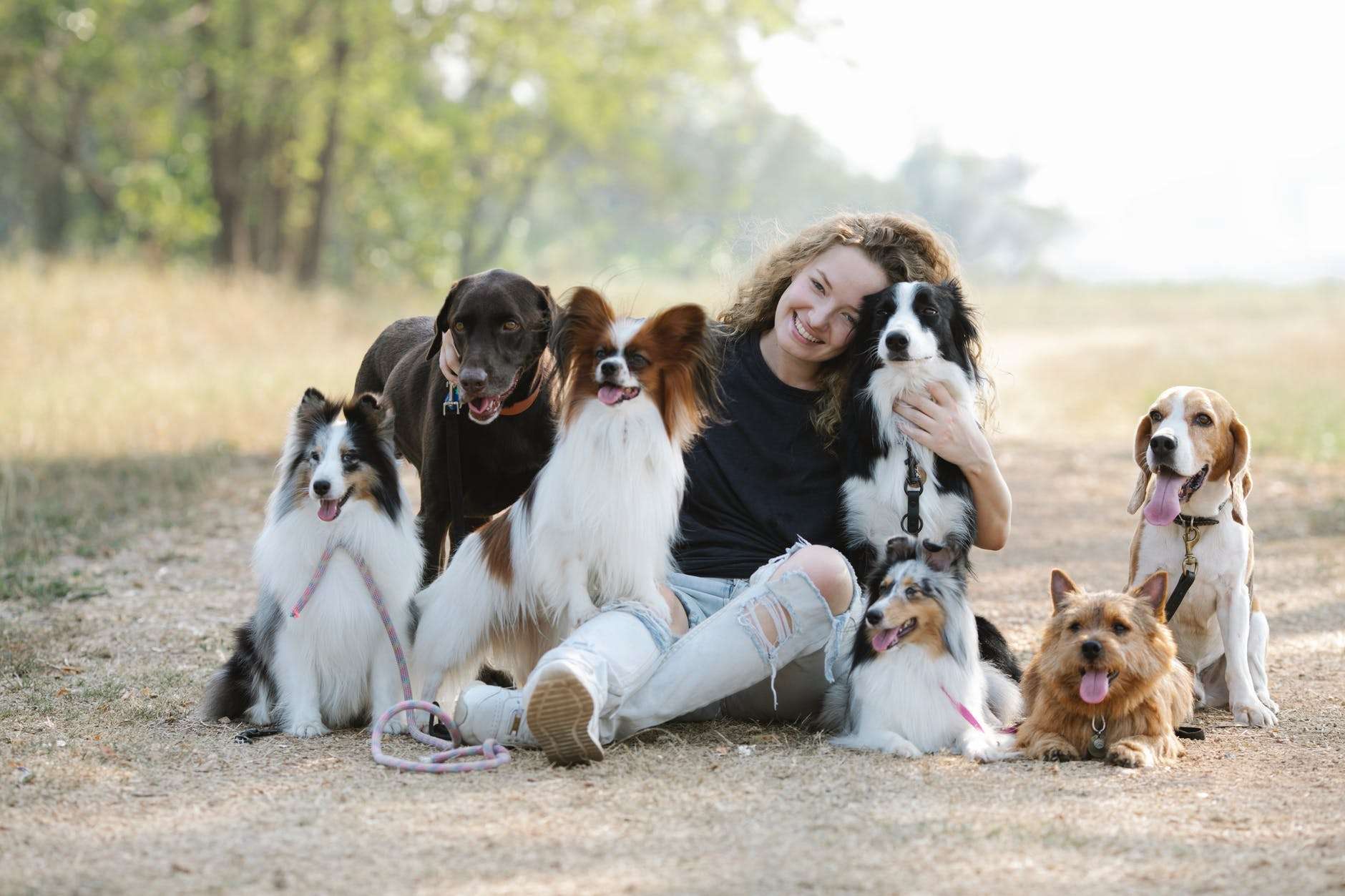 gentle smiling woman embracing purebred dogs while sitting on ground: happiness in our homeschools