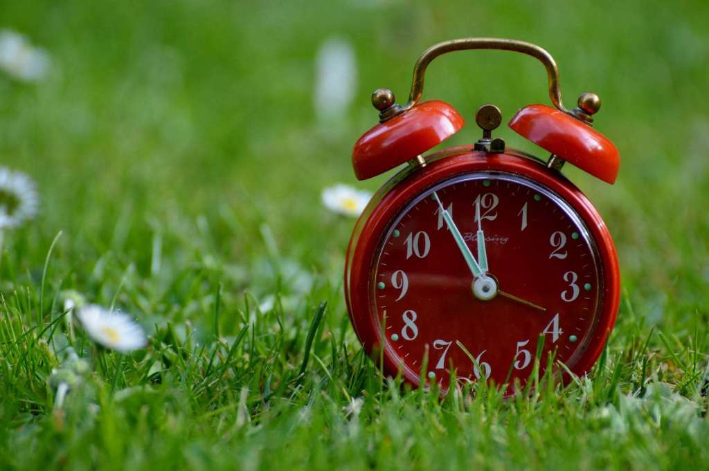 flowers grass meadow time: time management for homeschool moms