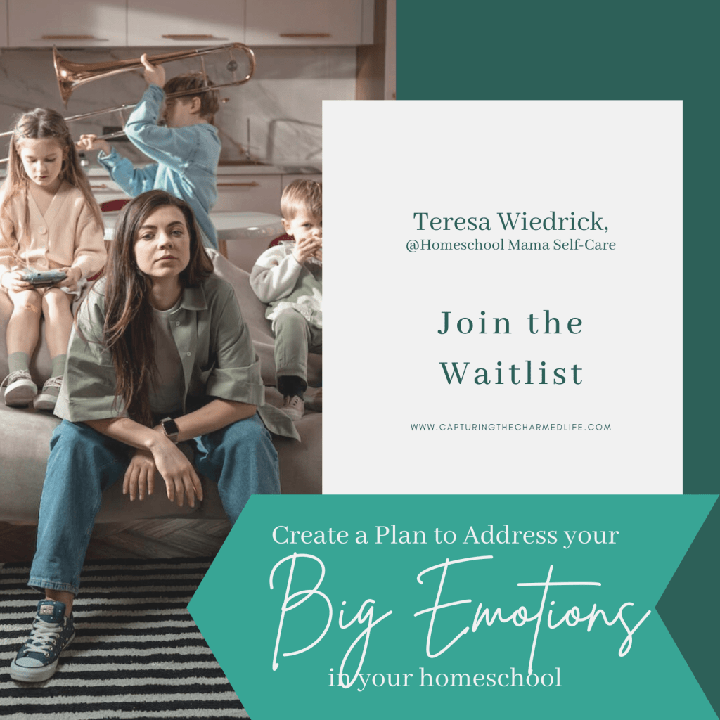 Create a plan to address your big emotions in your homeschool and join the Homeschool Mama Book Club