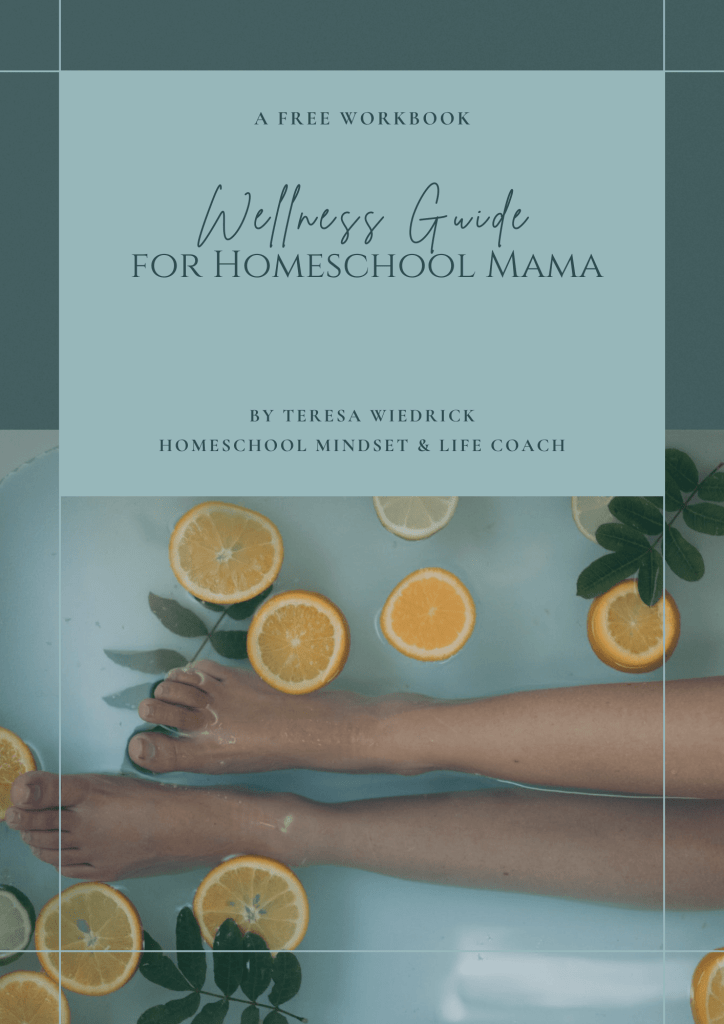 Homeschool Help for Moms Wellness in 7 Strategies