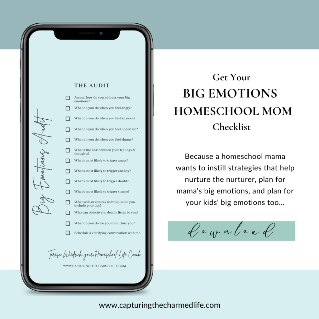 big emotions homeschool mom checklist