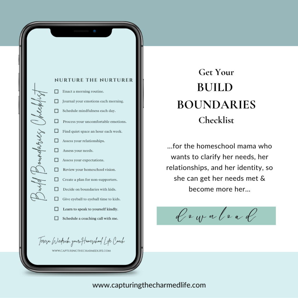 Get your Build Boundaries Checklist for the homeschool mama who wants to clarify her needs, her relationships and her identity so she can get her needs met & become more her...

The homeschool mom podcast for boundary building.