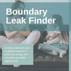 Boundary Leak Finder