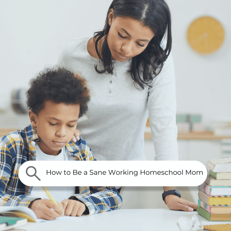 How to Be a Sane Working Homeschool Mom
