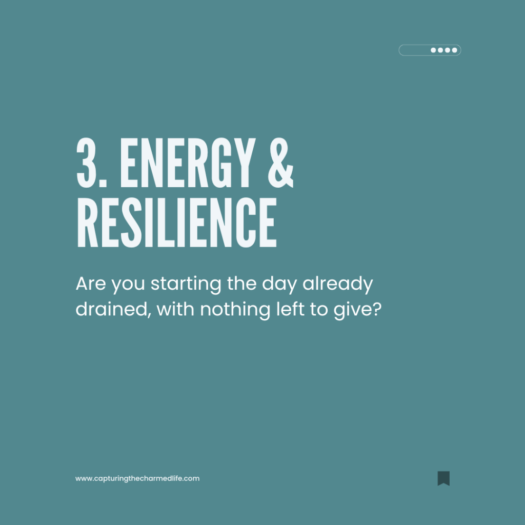 3. Energy and resilience